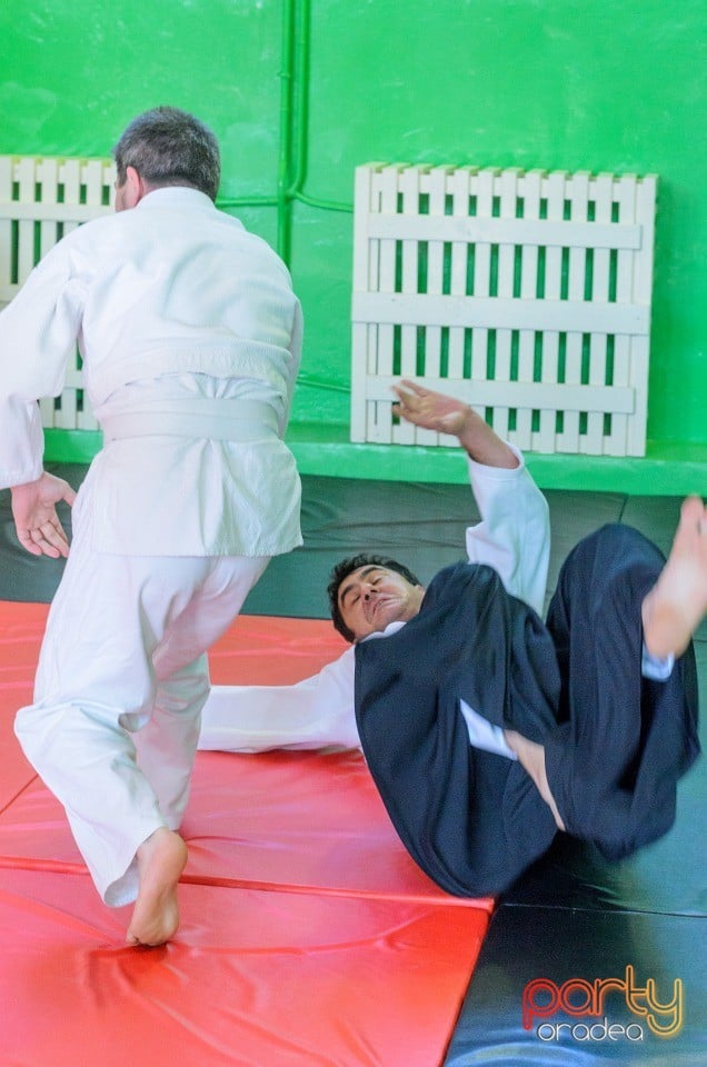 Stagiu Aikido, Oradea