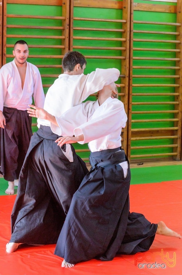 Stagiu Aikido, Oradea