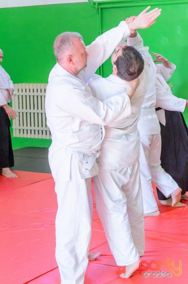 Stagiu Aikido, Oradea