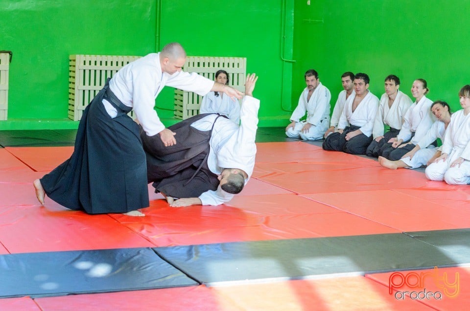 Stagiu Aikido, Oradea