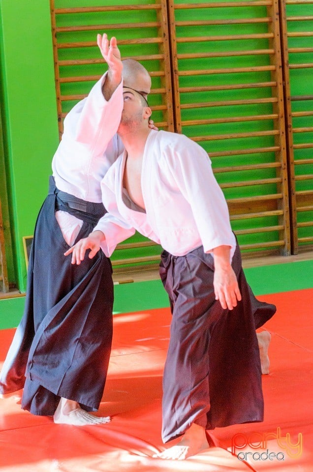 Stagiu Aikido, Oradea