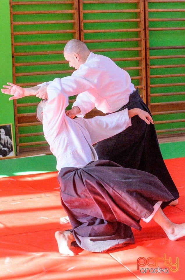 Stagiu Aikido, Oradea