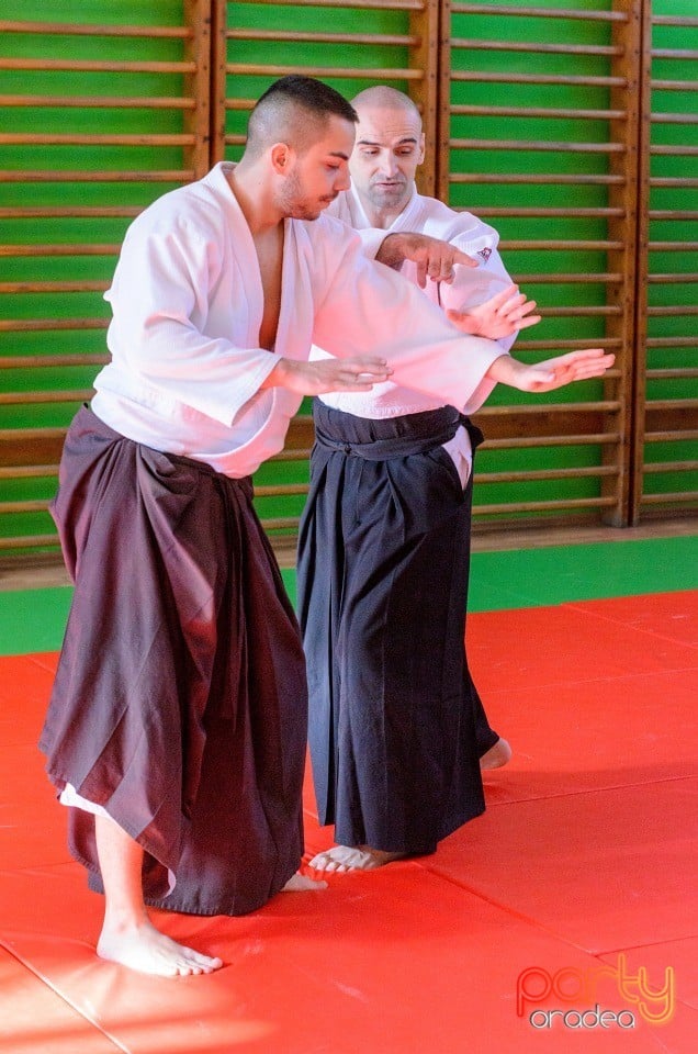 Stagiu Aikido, Oradea