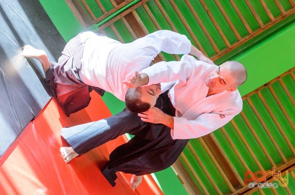 Stagiu Aikido, Oradea