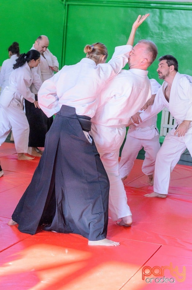 Stagiu Aikido, Oradea