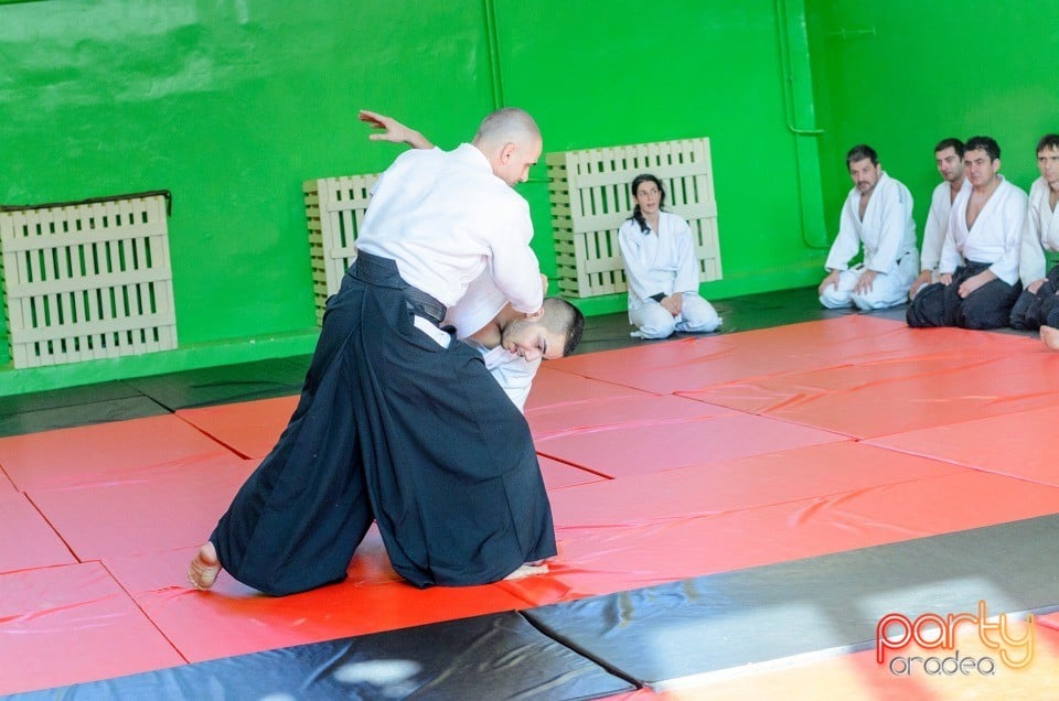 Stagiu Aikido, Oradea