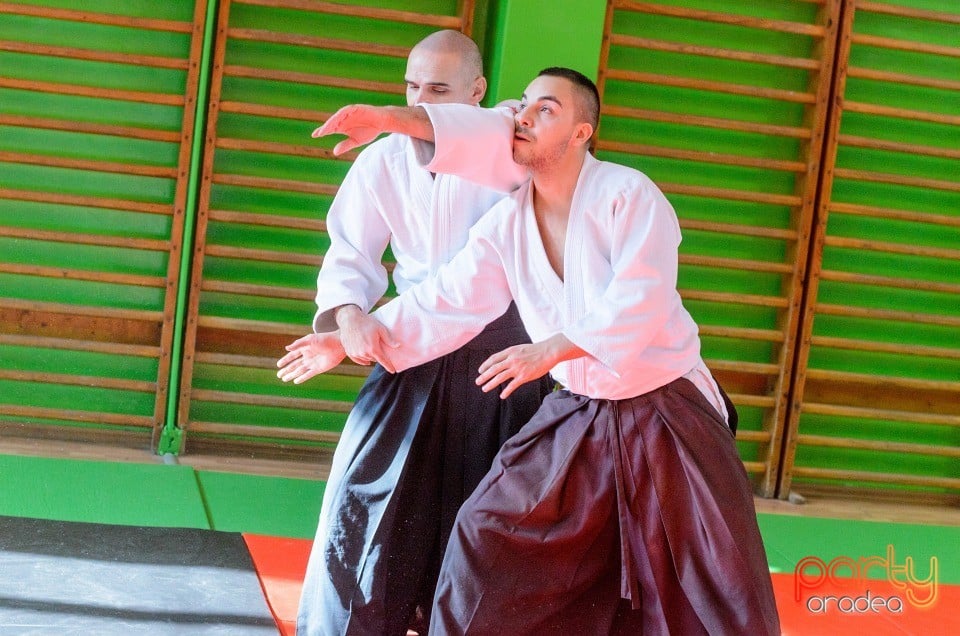 Stagiu Aikido, Oradea