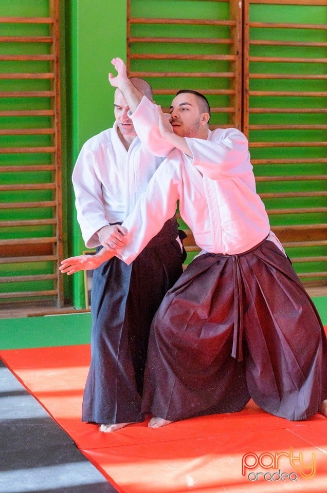 Stagiu Aikido, Oradea