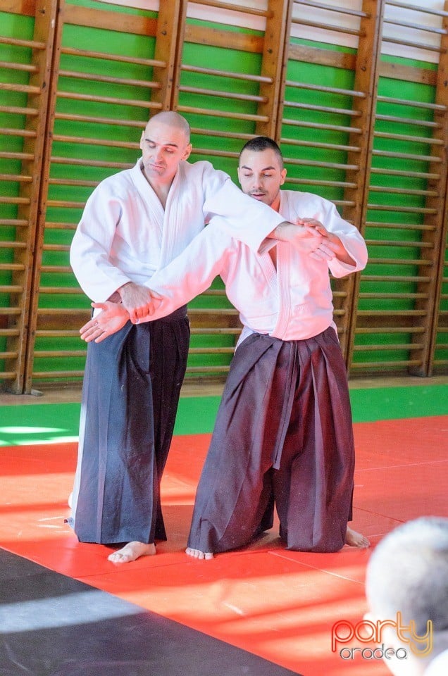 Stagiu Aikido, Oradea