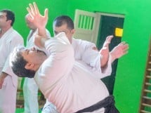 Stagiu Aikido