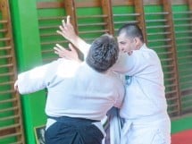 Stagiu Aikido