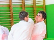 Stagiu Aikido