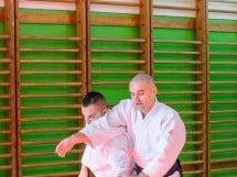 Stagiu Aikido