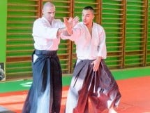 Stagiu Aikido