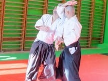 Stagiu Aikido