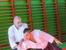 Stagiu Aikido