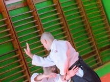 Stagiu Aikido