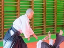 Stagiu Aikido