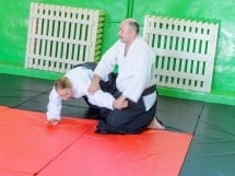 Stagiu Aikido