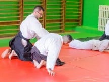 Stagiu Aikido