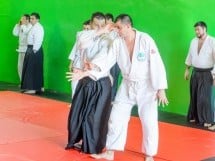 Stagiu Aikido