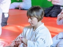 Stagiu Aikido