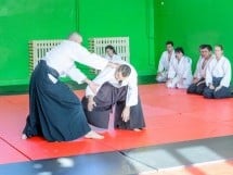 Stagiu Aikido