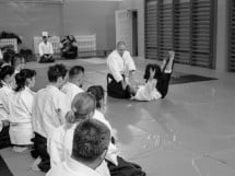 Stagiu Aikido