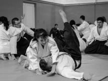 Stagiu Aikido