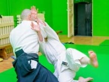 Stagiu Aikido