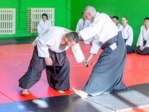 Stagiu Aikido