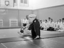 Stagiu Aikido