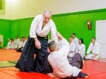 Stagiu Aikido