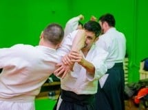 Stagiu Aikido