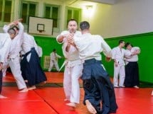 Stagiu Aikido