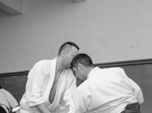 Stagiu Aikido