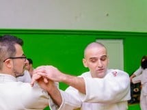 Stagiu Aikido