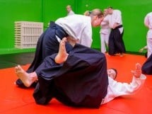 Stagiu Aikido