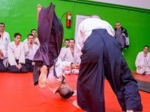 Stagiu Aikido