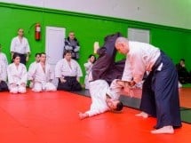 Stagiu Aikido