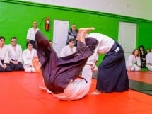 Stagiu Aikido