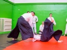 Stagiu Aikido