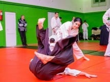 Stagiu Aikido