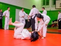 Stagiu Aikido