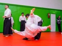 Stagiu Aikido