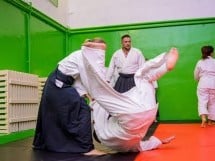 Stagiu Aikido