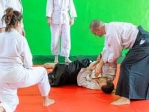 Stagiu Aikido