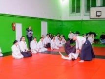 Stagiu Aikido