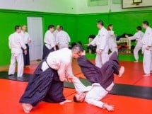 Stagiu Aikido