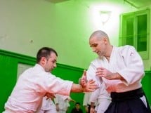 Stagiu Aikido